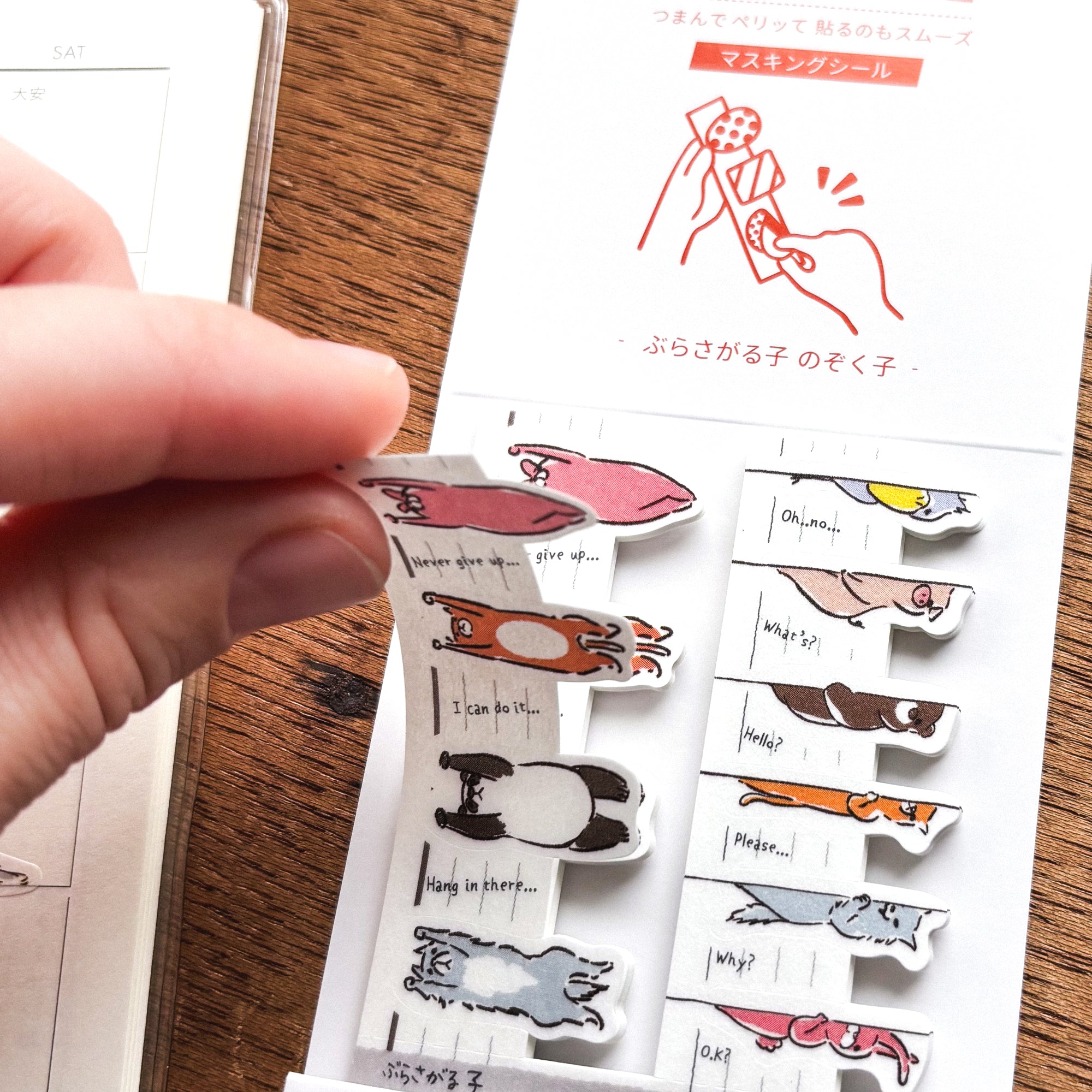 Sheet Peritte Masking Tape Stickers - Hanging & Peeking