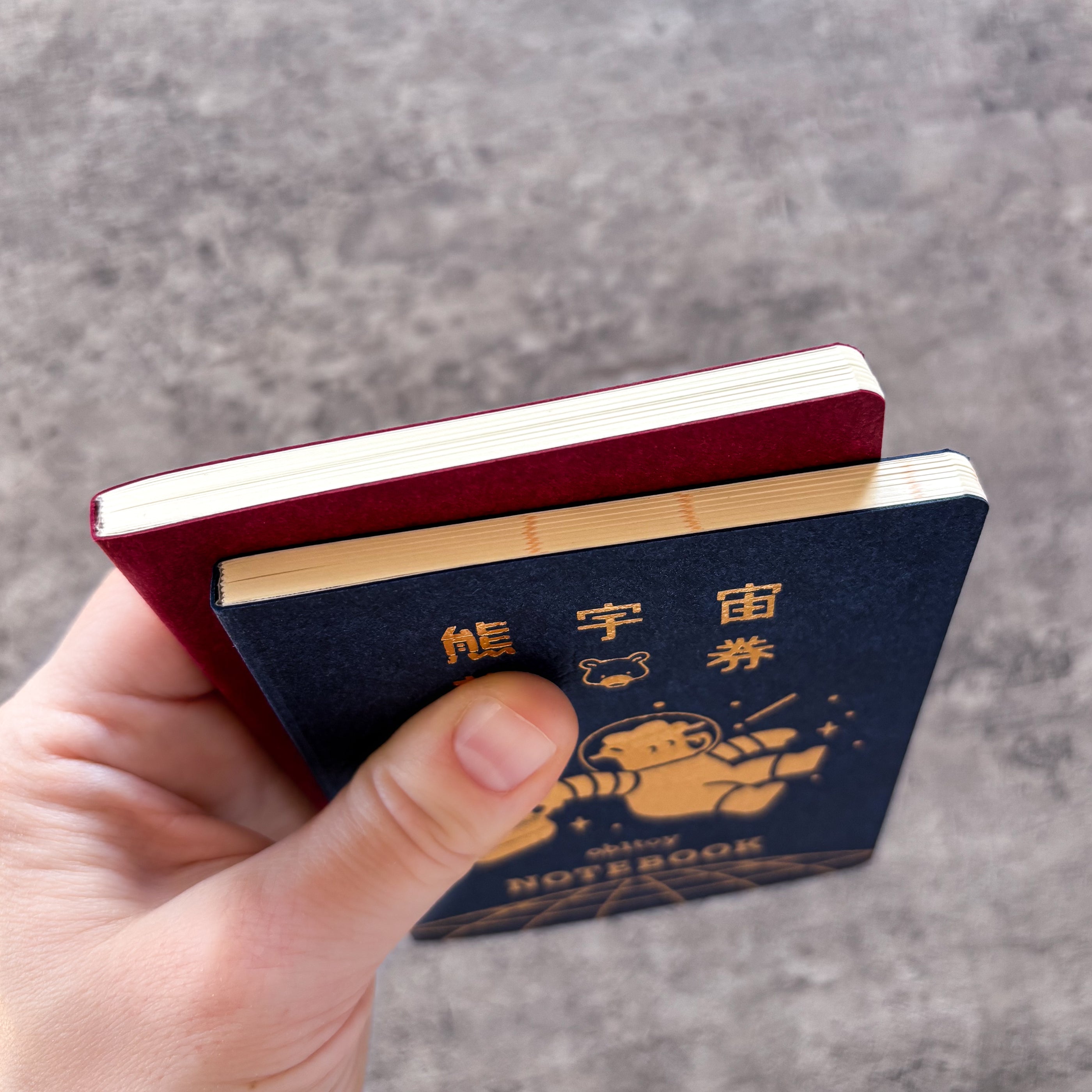 Obi1 / Passport Style Notebook - Earth Tour (red)