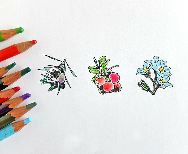 Rubber Stamp - Forget-me-not